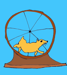 historia-de-maria-sobre-portas-e-gaiolas_edit