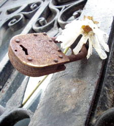 haikai para lu moura.jpg