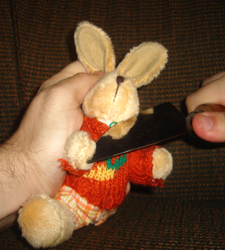 o-dia-em-que-pensei-ter-matado-o-coelho-da-pascoa