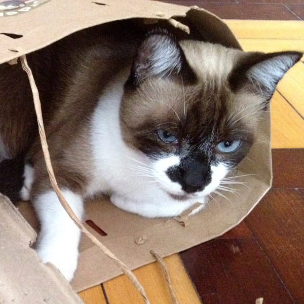 o-humor-dos-bichos_p2