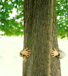 pequenasfelicidadescertas