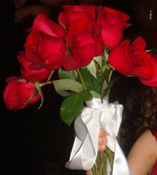 Uma rosa para a bisa_P2.jpg