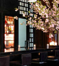 yummy-new-york-city-chronicles-one