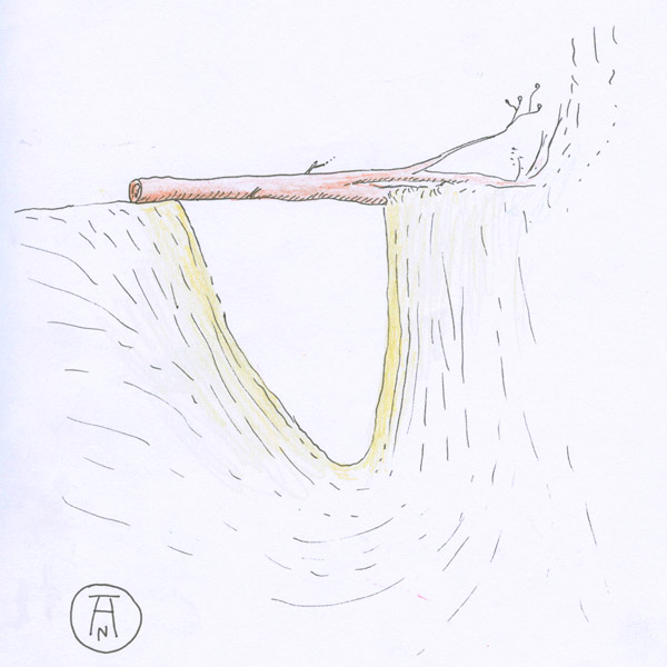 cro%cc%82nicas-de-viagem-a-aventura-comec%cc%a7a_p2