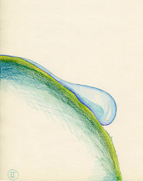 cro%cc%82nicas-de-viagem-nova-zela%cc%82ndia-the-sounds_p2