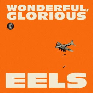 eels_wonderfulglorious