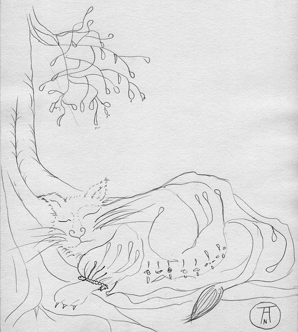 historia-de-maria-de-sonhos-e-de-realidade_branco_p2