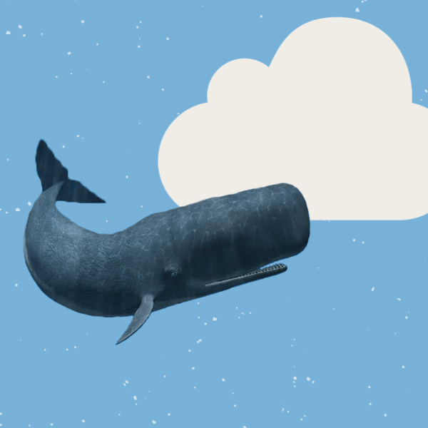 Crossroads cachalote sem estrada_P2