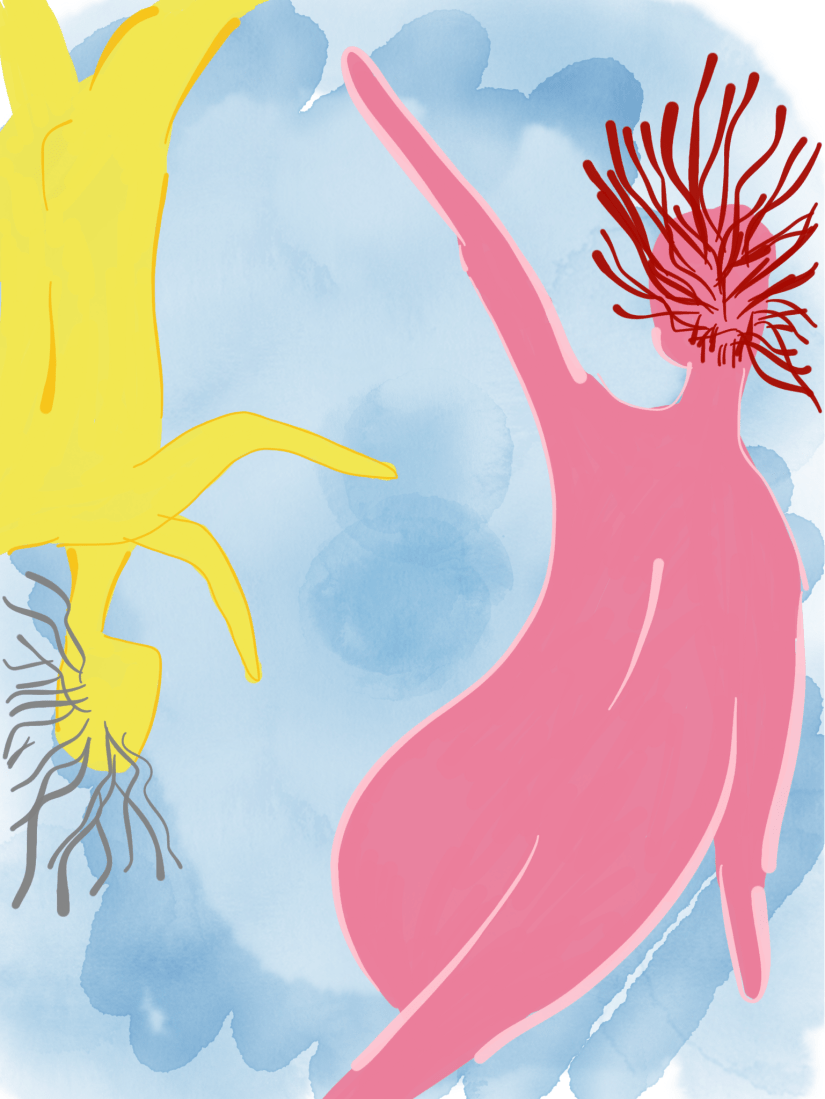 Do show III ou Da força_P2