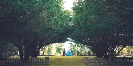 little-women-aldkfklja-42344234-2019-798x399-1